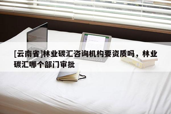 [云南省]林業碳匯咨詢機構要資質嗎，林業碳匯哪個部門審批