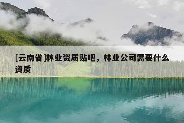 [云南省]林業資質貼吧，林業公司需要什么資質