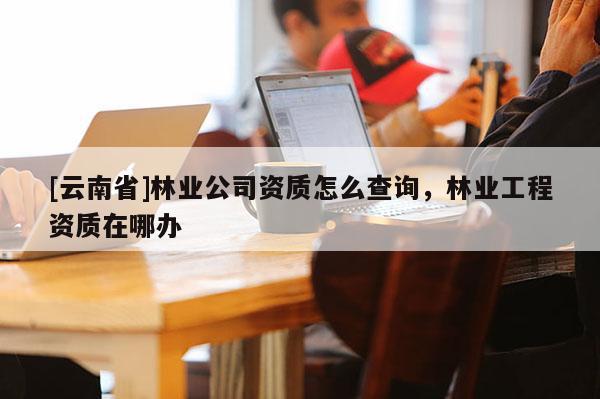 [云南省]林業(yè)公司資質怎么查詢，林業(yè)工程資質在哪辦