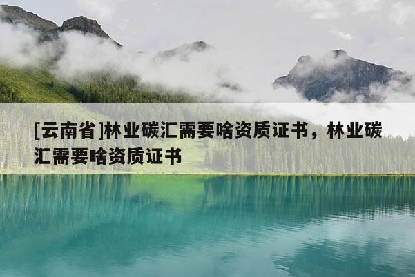 [云南省]林業(yè)碳匯需要啥資質(zhì)證書，林業(yè)碳匯需要啥資質(zhì)證書