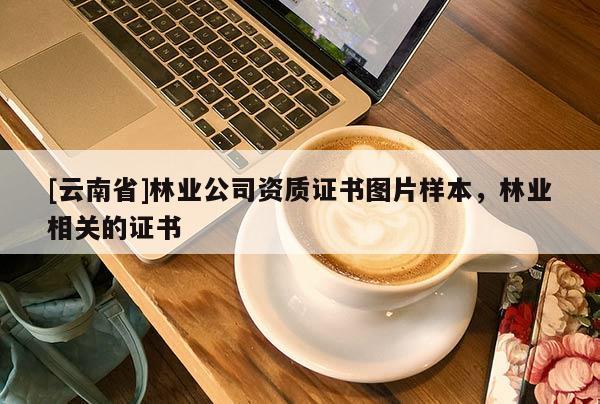 [云南省]林業(yè)公司資質(zhì)證書圖片樣本，林業(yè)相關(guān)的證書
