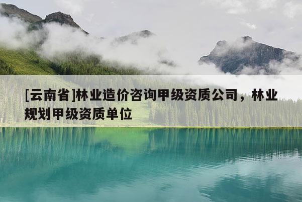 [云南省]林業造價咨詢甲級資質公司，林業規劃甲級資質單位