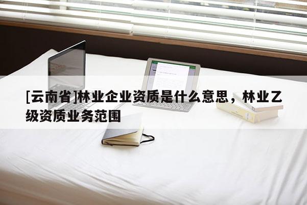 [云南省]林業(yè)企業(yè)資質(zhì)是什么意思，林業(yè)乙級(jí)資質(zhì)業(yè)務(wù)范圍