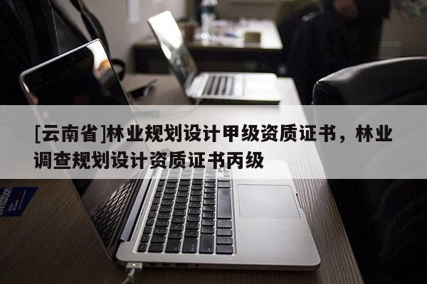 [云南省]林業規劃設計甲級資質證書，林業調查規劃設計資質證書丙級