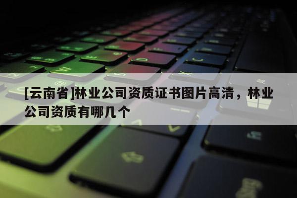 [云南省]林業公司資質證書圖片高清，林業公司資質有哪幾個