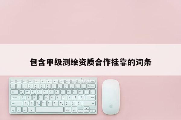 包含甲級測繪資質合作掛靠的詞條