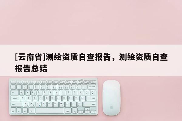[云南省]測繪資質自查報告，測繪資質自查報告總結