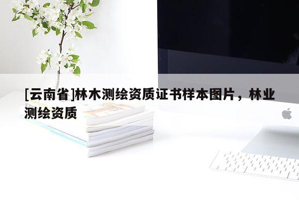 [云南省]林木測繪資質(zhì)證書樣本圖片，林業(yè)測繪資質(zhì)